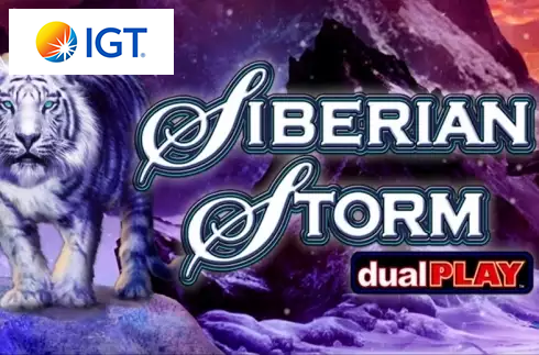 Siberian Storm Dual Play